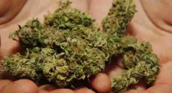 Shocking!! See The Side Effects Of Marijuana You May Not Know About